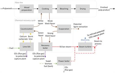Integration of carbon capture in a pulp mill—effect of strategic development towards better biomass resource utilization